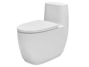 Bồn Cầu INAX AC-1052VN (AC1052VN) 1 Khối Nắp Êm Aqua Ceramic