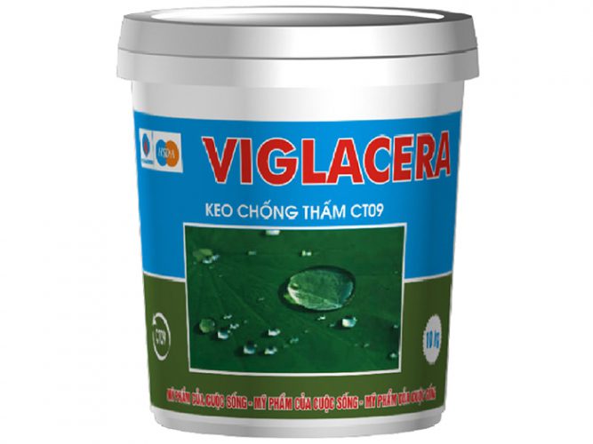 Dung dịch chống thấm hệ thẩm thấu Viglacera - CT09