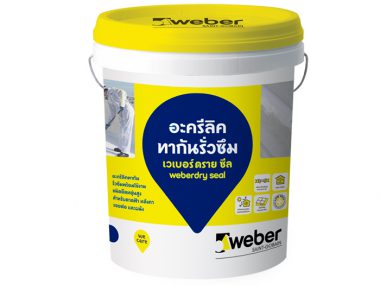Chống thấm Weber Dry.seal 5kg-2